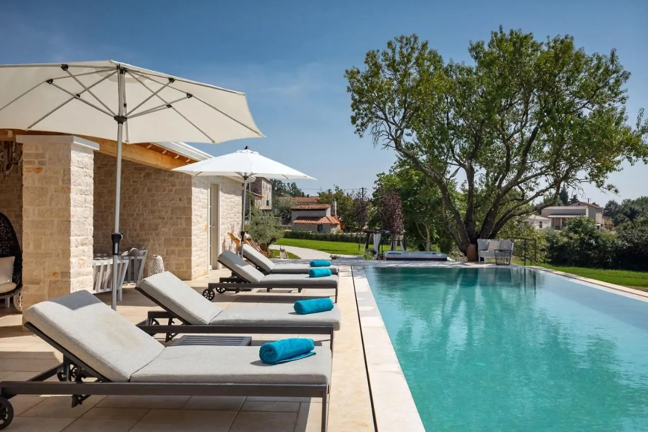 Family Villa Rapavel With Pool In Visnjan 0*,